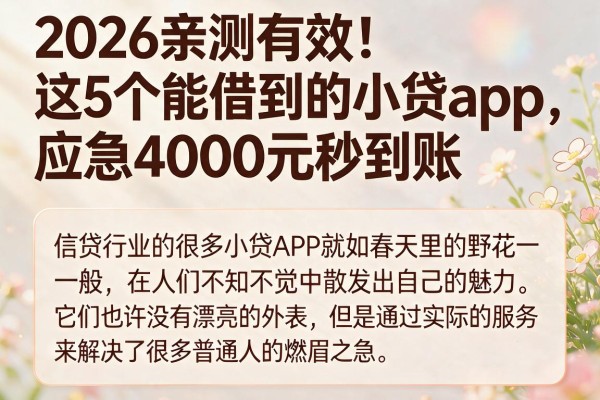 2026亲测有效!这5个能借到的小贷app,应急4000元秒到账
