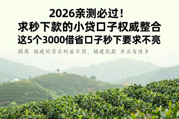 2026亲测必过!求秒下款的小贷口子权威整合:这5个3000借款口子秒下要求不高