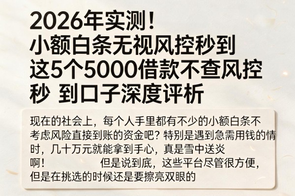2026年实测!小额白条无视风控秒到,这5个5000借款不查风控秒到口子深度评析