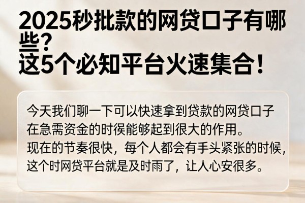 2025秒批款的网贷口子有哪些？这5个必知平台火速集合！