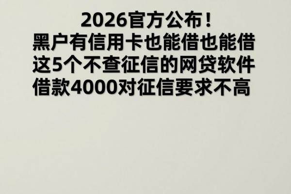 2026官方公布！黑户有信用卡也能借，这5个不查征信的网贷软件，借款4000对征信要求不高