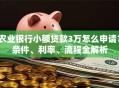 农业银行小额贷款3万怎么申请？条件、利率、流程全解析
