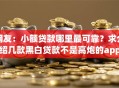 网友：小额贷款哪里最可靠？求介绍几款黑白贷款不是高炮的app