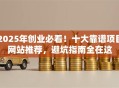 2025年创业必看！十大靠谱项目网站推荐，避坑指南全在这