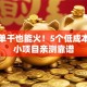 女生单干也能火！5个低成本创业小项目亲测靠谱