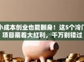 小成本创业也能翻身！这5个冷门项目藏着大红利，千万别错过