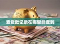 查贷款记录在哪里能查到