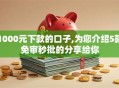 1000元下款的口子,为您介绍5款免审秒批的分享给你