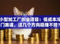 小型加工厂创业项目：低成本冷门赛道，这几个方向稳赚不赔？