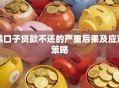 黑口子贷款不还的严重后果及应对策略