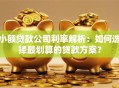 小额贷款公司利率解析：如何选择最划算的贷款方案？