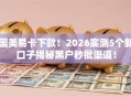 国美易卡下款！2026实测5个新口子揭秘黑户秒批渠道！