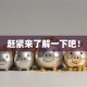 赶紧来了解一下吧！