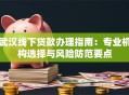 武汉线下贷款办理指南：专业机构选择与风险防范要点