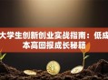 大学生创新创业实战指南：低成本高回报成长秘籍