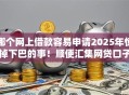 哪个网上借款容易申请2025年惊掉下巴的事！顺便汇集网贷口子容易申请借钱