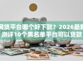 网贷平台哪个好下款？2026最新测评10个黑名单平台可以贷款