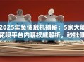 2025年负债危机揭秘：5家大额花呗平台内幕权威解析，秒批低门槛彻底讲透！
