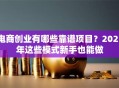 电商创业有哪些靠谱项目？2025年这些模式新手也能做