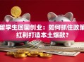 留学生回国创业：如何抓住政策红利打造本土爆款？