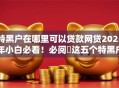 特黑户在哪里可以贷款网贷2025年小白必看！必阅​这五个特黑户在平台可以借钱网贷