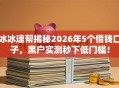 冰冰速帮揭秘2026年5个借钱口子，黑户实测秒下低门槛！