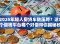 2025年轻人房贷车贷压垮？这5个借钱平台哪个好借带你揭秘秒批！