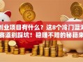 创业项目有什么？这8个冷门蓝海赛道别踩坑！稳赚不赔的秘籍来了