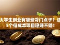 大学生创业有哪些冷门点子？这5个低成本项目稳赚不赔！