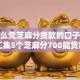 有什么凭芝麻分贷款的口子，今日汇集5个芝麻分700能贷款么