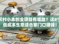 农村小本创业项目有哪些？这8个低成本生意适合家门口赚钱！