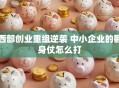 西部创业重组逆袭 中小企业的翻身仗怎么打