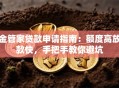 金管家贷款申请指南：额度高放款快，手把手教你避坑