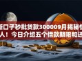 新口子秒批贷款300009月揭秘惊人！今日介绍五个借款期限和还款期限