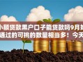 小额贷款黑户口子能贷款吗9月好通过的可挑的数量相当多！今天为您细致严挑这5个网贷平台！
