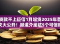 贷款不上征信1月起贷2025年首次大公开！顺道介绍这5个可信赖的网上借款平台
