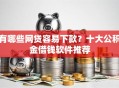 有哪些网贷容易下款？十大公积金借钱软件推荐