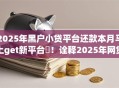 2025年黑户小贷平台还款本月马上get新平台‌！诠释2025年网贷口子借钱还款