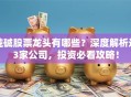 纯碱股票龙头有哪些？深度解析这3家公司，投资必看攻略！