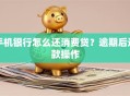 手机银行怎么还消费贷？逾期后还款操作
