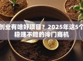 创业有啥好项目？2025年这5个稳赚不赔的冷门商机