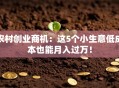 农村创业商机：这5个小生意低成本也能月入过万！