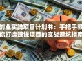 创业实践项目计划书：手把手教你打造赚钱项目的实战避坑指南