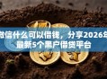 微信什么可以借钱，分享2026年最新5个黑户借贷平台