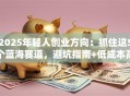 2025年轻人创业方向：抓住这5个蓝海赛道，避坑指南+低成本高回报思路