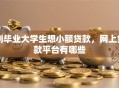 刚毕业大学生想小额贷款，网上贷款平台有哪些