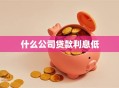 什么公司贷款利息低