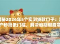 揭秘2026年5个实测贷款口子：黑户秒批低门槛，解决逾期燃眉急！