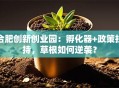 合肥创新创业园：孵化器+政策扶持，草根如何逆袭？