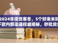 2024年借贷寒冬，5个好来米好下款内部渠道权威揭秘，秒批资金速领！